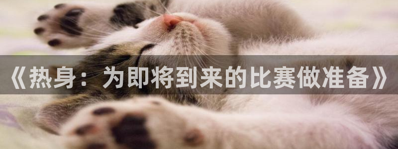 米兰体育网站：《热身：为即将到来的比赛做准备》