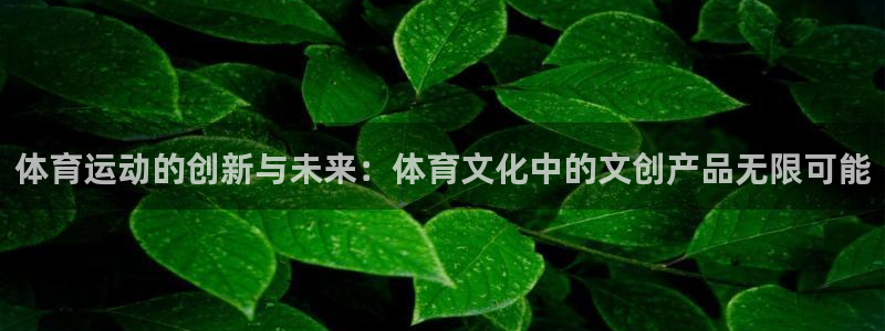 米兰体育怎么样：体育运动的创新与未来：体育文化中的文创产品无限可能