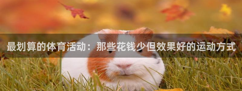 米兰体育网站：最划算的体育活动：那些花钱少但效果好的运动方式