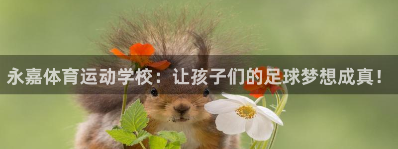 米兰体育网址：永嘉体育运动学校：让孩子们的足球梦想成真！