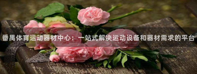 米兰体育.：番禺体育运动器材中心：一站式解决运动设备和器材需求的平台