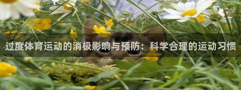 米兰体育怎么样：过度体育运动的消极影响与预防：科学合理的运动习惯