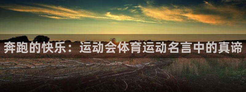 米兰体育场：奔跑的快乐：运动会体育运动名言中的真谛