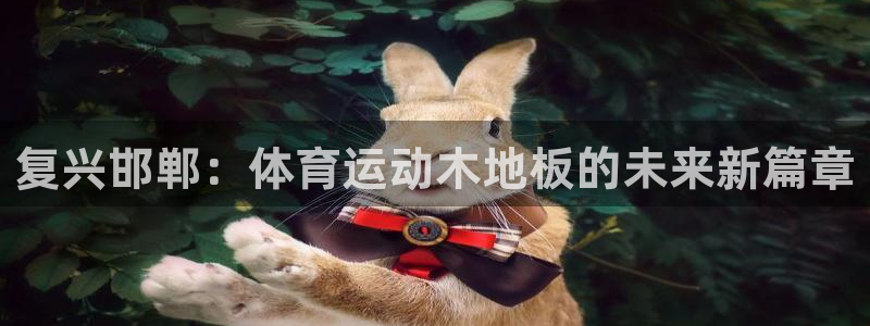 米兰体育场：复兴邯郸：体育运动木地板的未来新篇章
