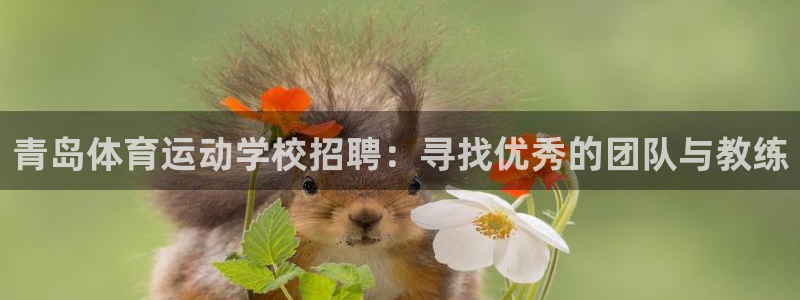 米兰体育：青岛体育运动学校招聘：寻找优秀的团队与教练