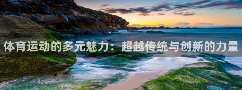 米兰体育网站：体育运动的多元魅力：超越传统与创新的力量