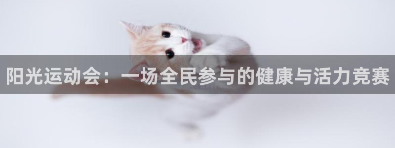 米兰体育在线：阳光运动会：一场全民参与的健康与活力竞赛